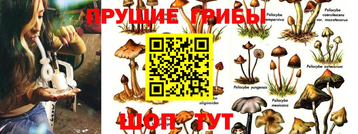 Псилоцибиновые грибы мухоморы Прохладный