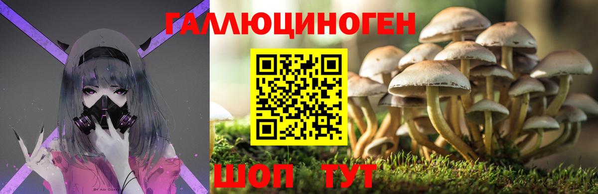 Прохладный  как найти закладки  Вход с VPN  Галлюциногенные грибы прущие грибы 